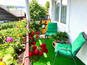 Apartament Vica